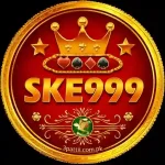 SKE999 Logo
